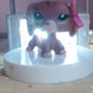 Meet your Posher, Lps